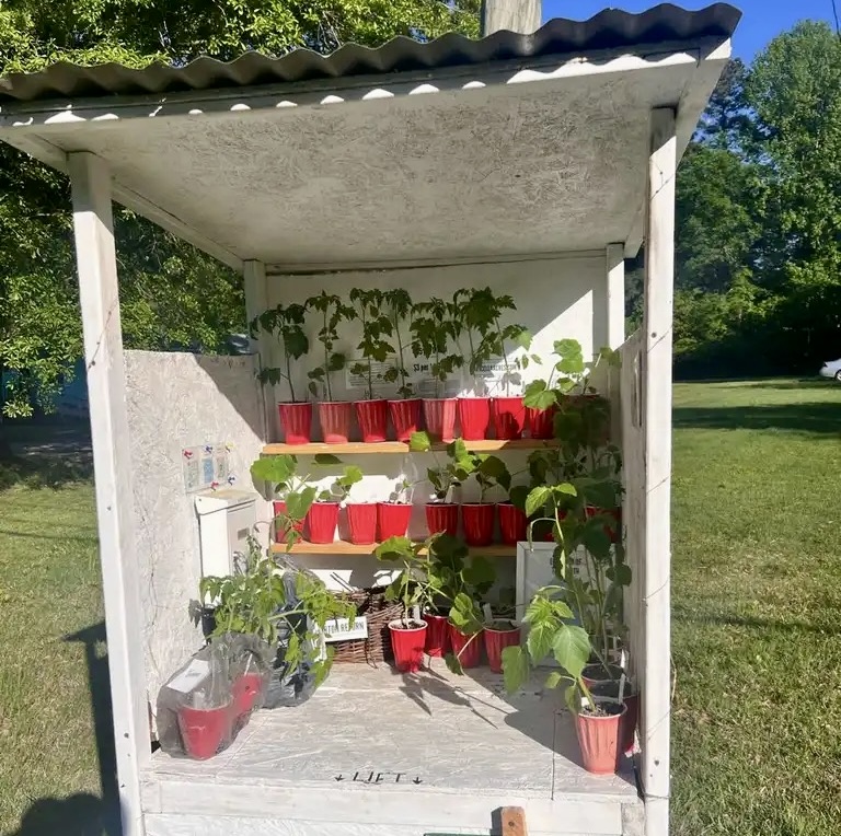 egg stand with plants in red solo cups